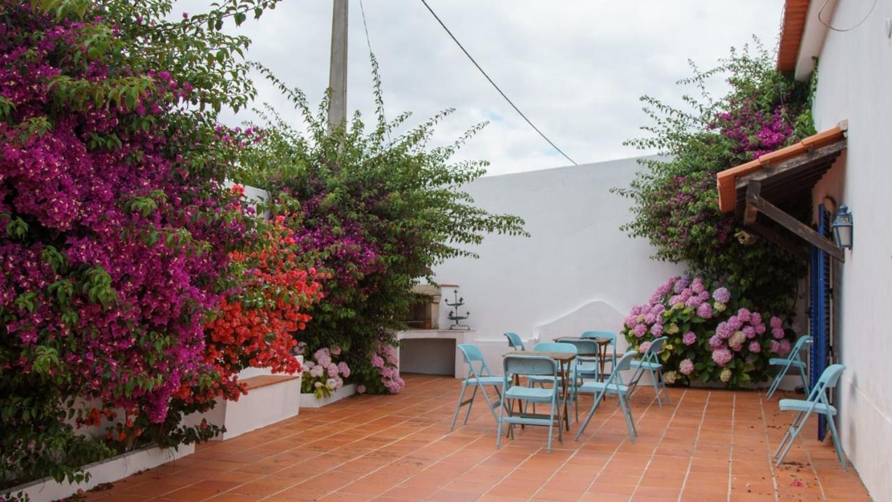 Marchanta Santarém Exteriér fotografie