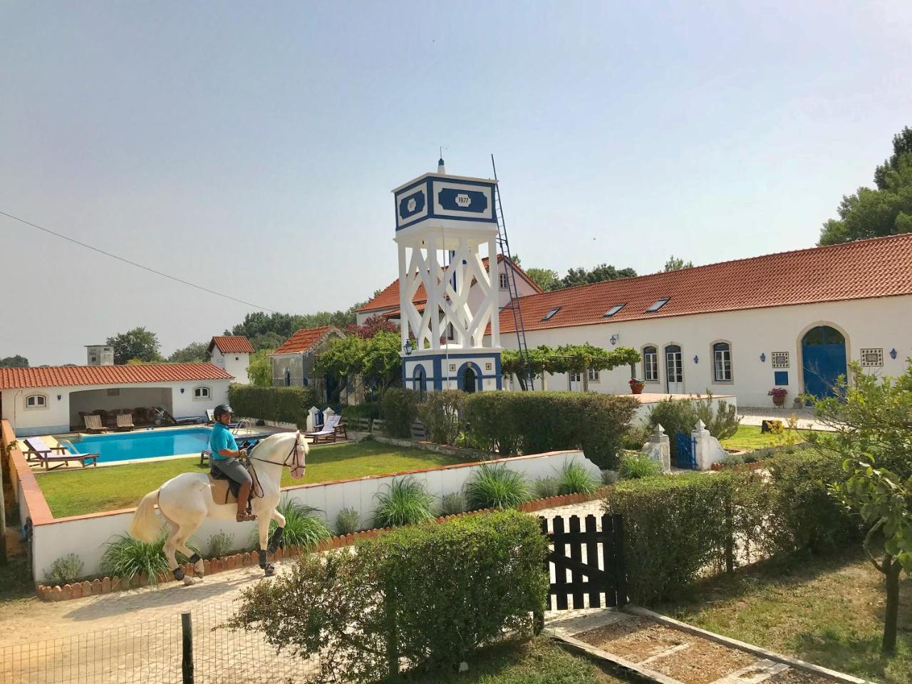 Marchanta Santarém Exteriér fotografie