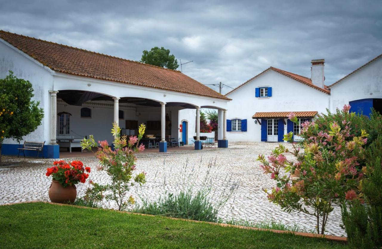 Marchanta Santarém Exteriér fotografie